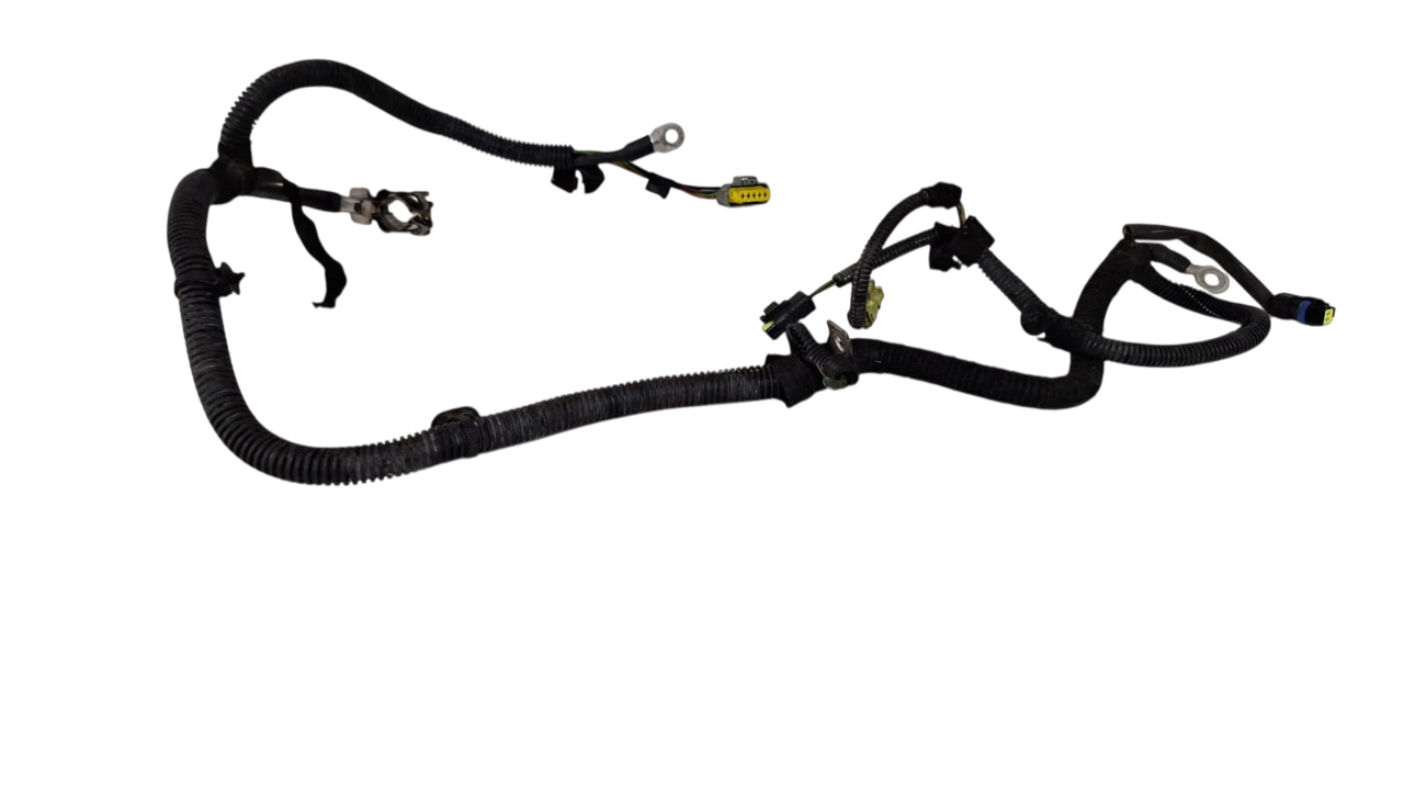 Chicote Cabo Bateria Citroen C4 Pallas 2008 A 2011
