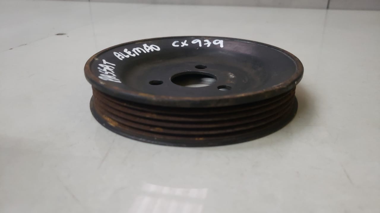 Polia Direção Hidráulica Vw Passat 1.8 1999-2004 058145244b