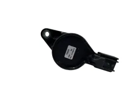 Bobina Ignição Focus 04/13 Ecosport 2.0 04/2017 Duratec