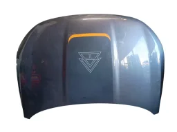Capô Dianteiro Argo 2018 2019 2020/..