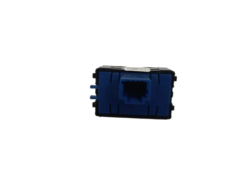 BOTAO PARK RENAULT DUSTER /OROCH 2016 A 2020 284487901R