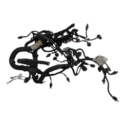 Chicote Injeçao Motor Compass 1.3 2023