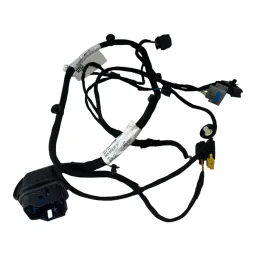 Chicote Porta Dianteira Direita Fiat Pulse 521625590  (Usado