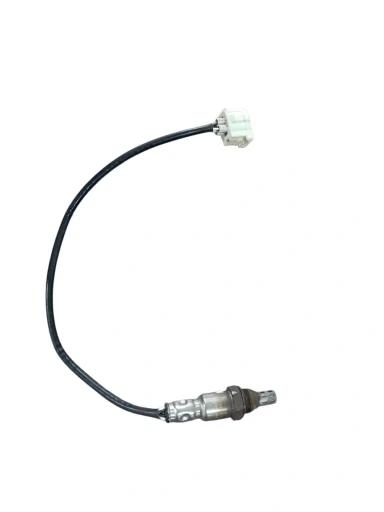 Sonda compass gasolina 2019