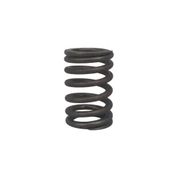 Mola Valvula K4m 1.6 16v Gasolina Clio Scenic Megane Kangoo