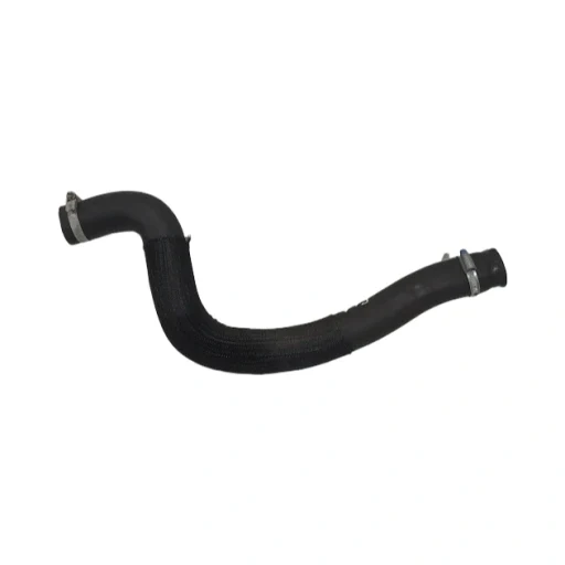 Mangueira Radiador Citroen C5 2009/2012