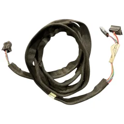 Chicote Luz Teto Renault Scenic 2002 Original 8200082630