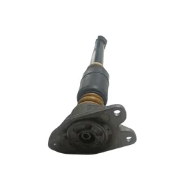 Amortecedor Traseiro Direito Bmw 318i 2001 2002 2003 2004 33526750781 33526750783 33521092489 33521091274 33521092309 33526752417 33526750784 33521096366 33526757045 33526759100 33521095913