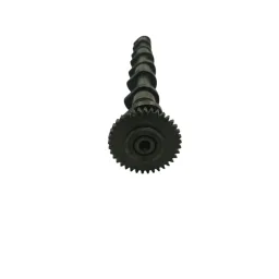 Eixo Excentrico Valvetronic Motor B38 B46 B48 Bmw Mini 11378630462 863046205 11377611599
