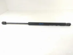 Amortecedor Tampa Traseira Chery Tiggo 3x 2022 Orig