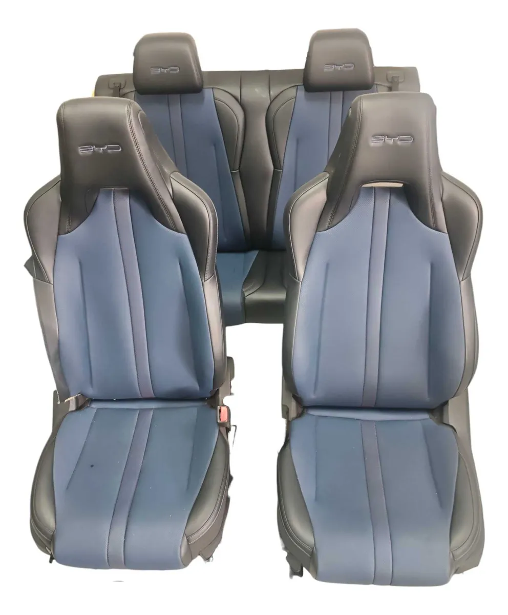 Jogo Bancos Byd Dolphin Mini 2024 2025 2026/..