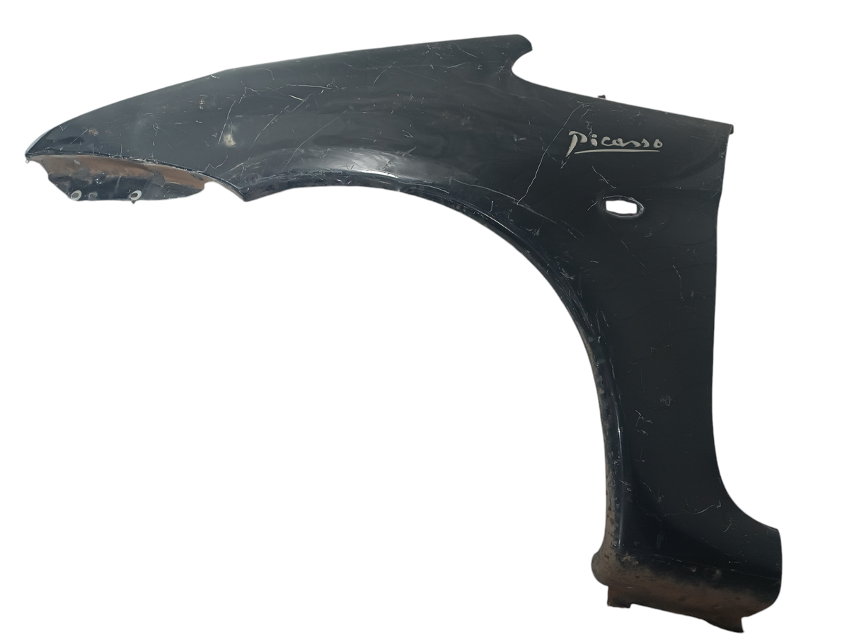 Paralama Esquerdo Xsara Picasso 2001 a 2011