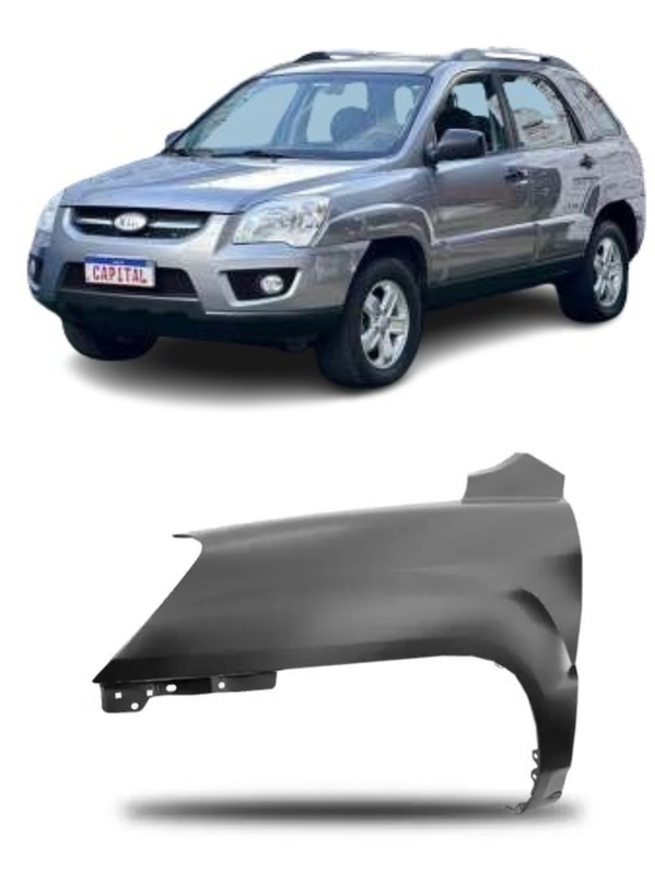 Paralama Esquerdo Sportage 2006 a 2010 S\Furo Original Prata