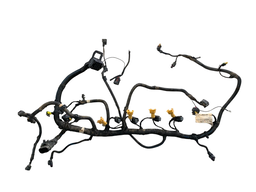 Chicote Injeção Motor Argo Strada Cronos 1.3 Firefly 2022