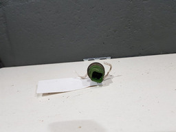 Sensor Temperatura Valvula Termostatica Citroen C4 2010