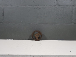 Polia Comando Exaustão Peugeot 307