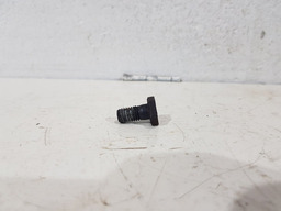 Parafuso Volante Motor Peugeot 206 1.6 16v 2008