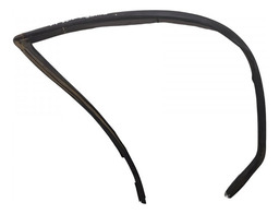 Borracha Canaleta Porta Dianteira Direita Renault Clio 1999