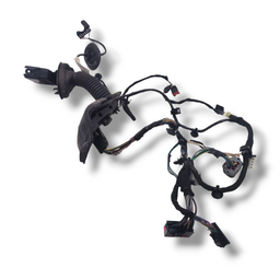 CHICOTE PORTA DIANTEIRA ESQUERDA FORD FIESTA 2014 2019 ORIGI