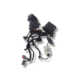 CHICOTE PORTA DIANTEIRA DIREITA FORD FIESTA 2014 2019 ORIGIN