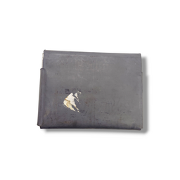 MANUAL PROPRIETÁRIO RENAULT CLIO 2004