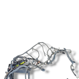 CHICOTE INTERNO RENAULT CLIO 2004