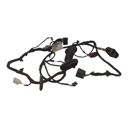 Chicote Porta Dianteira Esquerda Ecosport Flex 1.5 2013 a 20