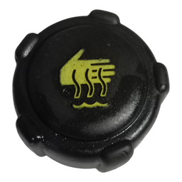 Reservatório água radiador Clio 2006 a 2012 