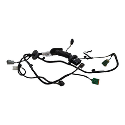 Chicote Porta Esquerda Ka1.5 2018 A 2021