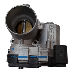 Corpo Borboleta TBI vivace 2010 A 2022