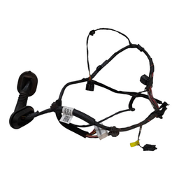 Chicote Porta Dianteira Esquerda HB20 1.0 20213 A 2019