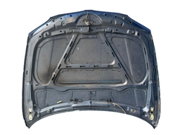 CAPO DIANTEIRO BMW 116I 118I 120I