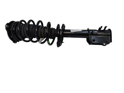 Amortecedor Dianteira Direito Rampage 2024 2025 2026/..