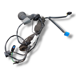 CHICOTE PORTA DIANTEIRA ESQUERDA FORD KA 2008 2013 ORIGINAL