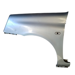 Paralama Esquerdo Clio 2004 2005 a 2012