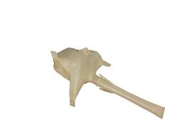 RESERVATORIO DO LIMPADOR COROLLA 2009 A 2014