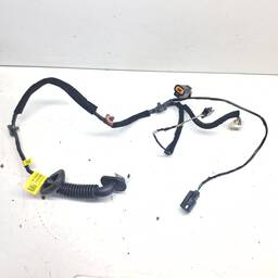 CHICOTE PORTA TRASEIRA DIREITA HB20 2015 A 2019