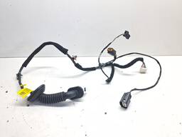 CHICOTE PORTA TRASEIRA DIREITA HB20 2015 A 2019