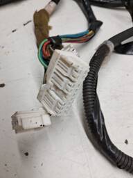 CHICOTE PORTA DIANTEIRA ESQUERDA MARCH 2012 A 2020