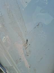 TETO FOLHA SANDERO 2015 A 2024 