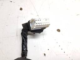 CHICOTE PORTA DIANTEIRA DIREITA MARCH 2012 A 2020