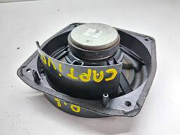 ALTO FALANTE PORTA CAPTIVA 2008 A 2017