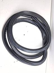 BORRACHA PORTA TRASEIRA ESQUERDA (CARROCERIA) POLO NIVUS 18/