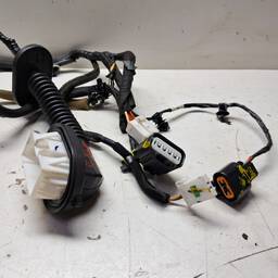 CHICOTE PORTA DIANT ESQUERDA HB20 2002/SENSE