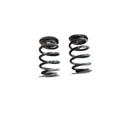 Jogo Molas Traseiras Clio 1.0 1.6 Hatch/Sedan 2000 a 2012