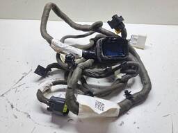 CHICOTE PORTA DIANT LE ARGO 2016/ELETRICO