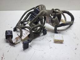 CHICOTE PORTA DIANT LE ARGO 2016/ELETRICO