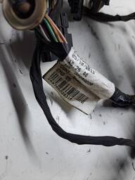 CHICOTE PORTA DIANT LE ARGO 2016/ELETRICO