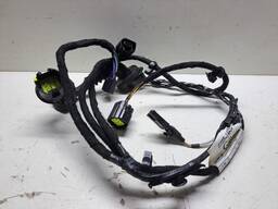 CHICOTE PORTA TRAS ESQUERDO ECOSPORT 2003 A 2012