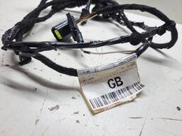 CHICOTE PORTA TRAS ESQUERDO ECOSPORT 2003 A 2012